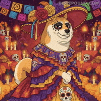 Posing Shiba Inu GIF by Doge Pound