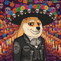 Celebrate Shiba Inu GIF by Doge Pound