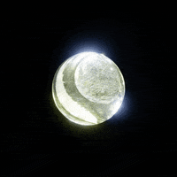 GIF by Parts of Four
