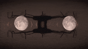 Art Video GIF by jorgemariozuleta