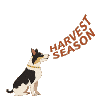 Farmdog Sticker by DEKALB Asgrow Deltapine