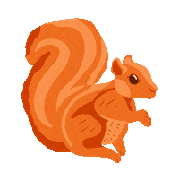 Squirrel Stevia Sticker by leoburnettparis