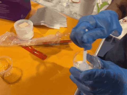 Saeed_Makhlooq giphygifmaker GIF