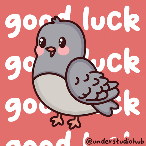 Best Of Luck GIF