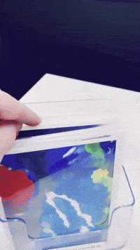 Valentines Day Love GIF by Casol