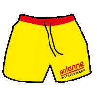 Summer Sticker by Antenne Steiermark