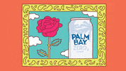 The Bachelorette Love GIF by Palm Bay Spritz