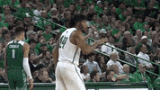 high five we are GIF by Marshall University Athletics