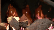 chinese food zhong guo cai GIF