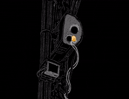 Staten Island Flower GIF by Yin Wrong