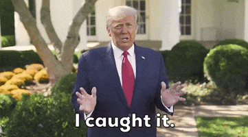 Donald Trump GIF by GIPHY News
