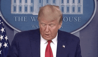 Donald Trump GIF
