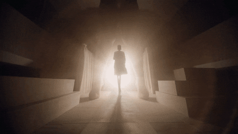 carinabenedettimetro giphyupload GIF