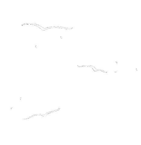 Birds Flying Sticker