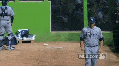 Tampa Bay Rays GIF by MLB
