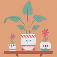 flowers spring GIF by evite