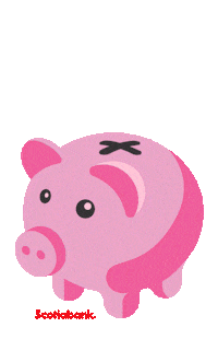 Scotiabank_DO bank piggy savings banco Sticker