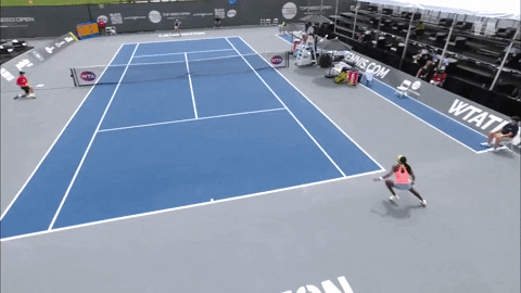 GIF by Tennis Channel