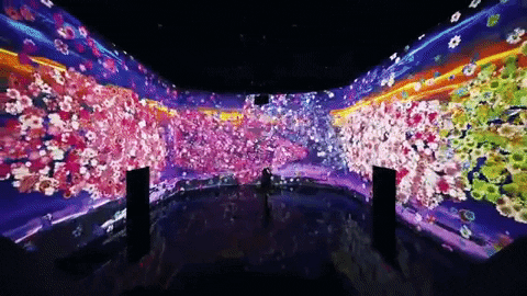 washington dc andy feliciotti GIF