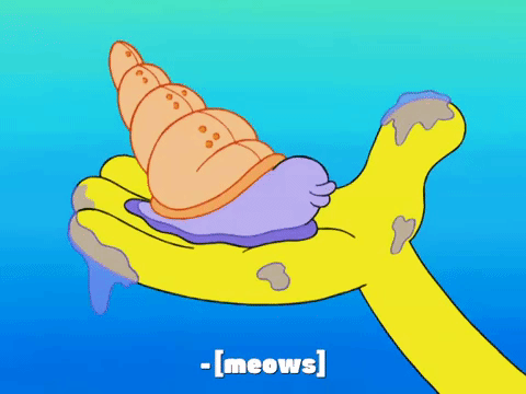 season 7 episode 22 GIF by SpongeBob SquarePants