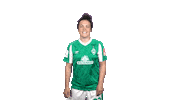 Stephanie Werderfrauen Sticker by SV Werder Bremen