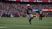 Football Nfl GIF by New England Patriots