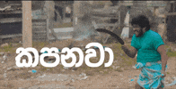 viber sri lanka sinhala viber GIF