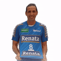 VoleiRenata volei torcida voleirenata GIF