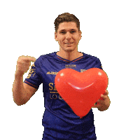 Danny Post Heart Sticker by VVV-Venlo