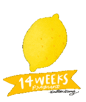 Kristenkiong lemon pregnancy milestones kristenkiong Sticker