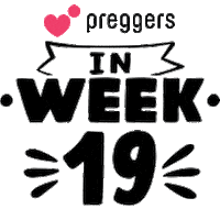 Pregnancy 19 Weeks Sticker by Preggers