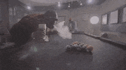GIF by VH1