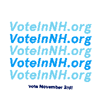 nhdemocraticparty vote election voting election day Sticker