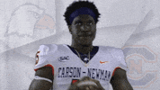 Carson Newman Football GIF by Carson-Newman Athletics