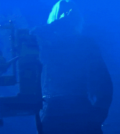 Linkin Park Concert GIF