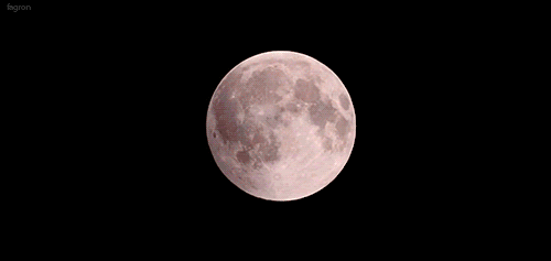 full moon GIF