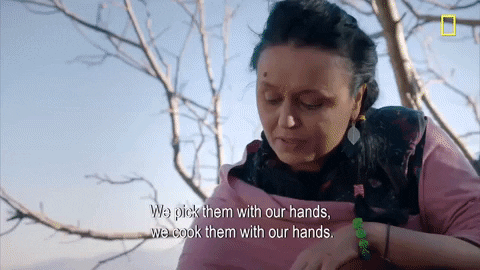 Gordon Ramsay Morocco GIF by National Geographic Channel