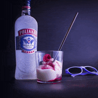 POLIAKOVVODKA vodka poliakov GIF