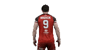 Boss Volleyball Sticker by VK MIRAD UNIPO Prešov