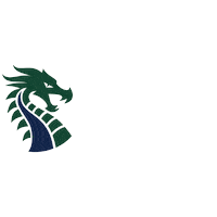 Nbisd Dragons Sticker by New Braunfels ISD