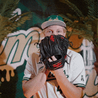South Florida Baseball GIF by USF Athletics