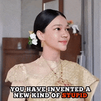 Idiot Sarcasm GIF
