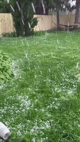 Thunderstorm Drops 'Mothball-Sized' Hail in Northern Virginia