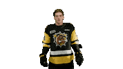 BrantfordBulldogs bulldogs ohl brantford brantford bulldogs Sticker