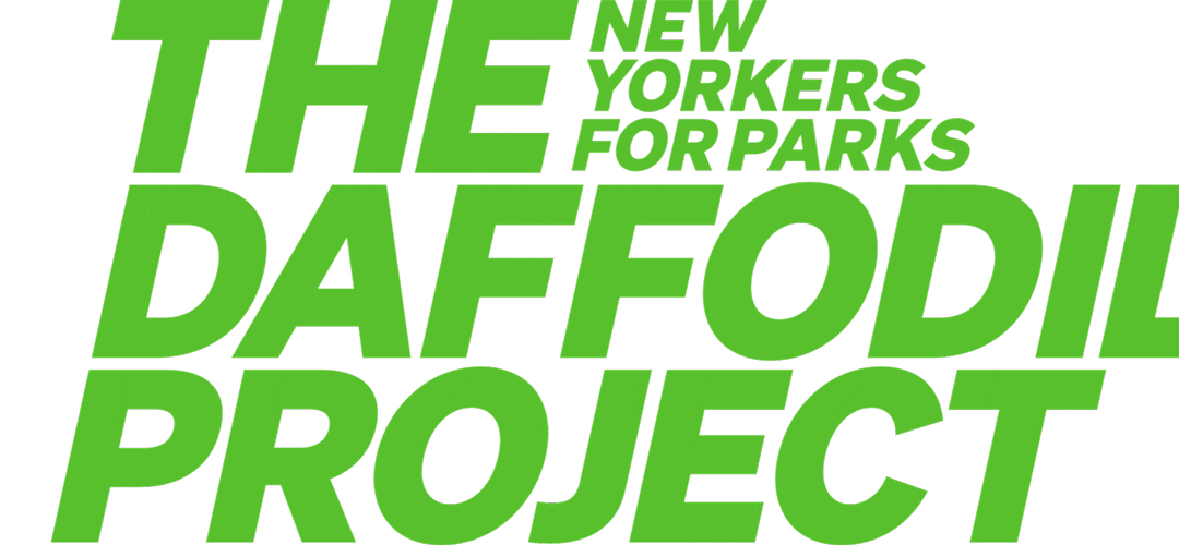 Nyc Daffodil Sticker by New Yorkers for Parks