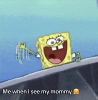 Spongebob Niche GIF