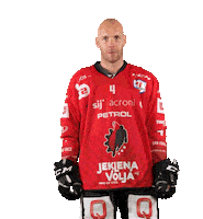 Hockey Hokej Sticker by HDD SIJ Acroni Jesenice