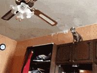 mash up falling GIF