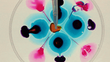 feel it still tidal wave GIF by Portugal. The Man