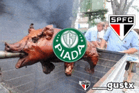 Sao Paulo GIF